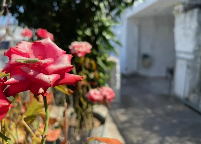 Nionas Cheerful House Дом отдыха *